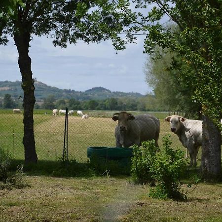 Gite A La Ferme De La Bouriette Revel  Eksteriør billede