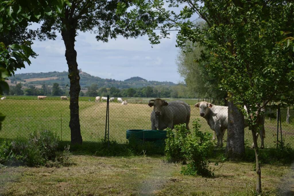 Gite A La Ferme De La Bouriette Revel  Eksteriør billede